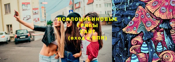 ешки Каменск-Шахтинский